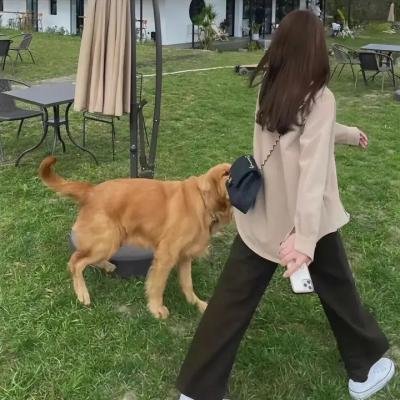 妙警贼探第四季